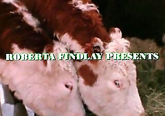 aka Liquid Assets. Wealthy Mr. Cashbox runs the risk of being hit with a tax bill due to the fact that this guy has also much cash. Cashbox gives a de