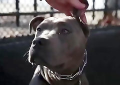 Tommy gets pounded by his hunk neighbor