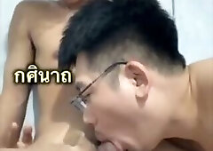 Thai twink top breeding codacolours