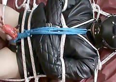 Restricted and restrained - 3