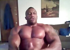 Solo, pecs worship, body builders