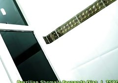 Compilation Of Shemale Peeing