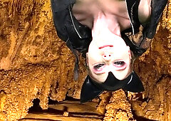 Camsoda   Bat costume slut goes solo