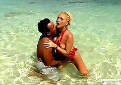 Kathy Anderson Goes Wild On a Tropical Beach
