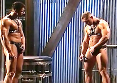 Hot House: Van Damme's Vibrant Deep-throat