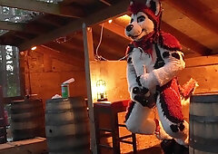 Husky Fursuiter Suspension Jerkoff