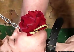 Submissive twink Avery Monroe anal fucked and wax tormented