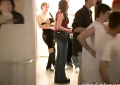 Toga party hoe ravaged doggystyle