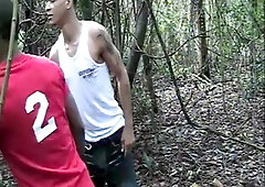 Sexo En El Bosque Dominican