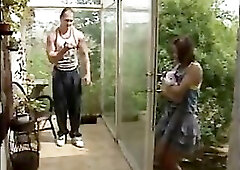 Vintage Belle Angelica Bella