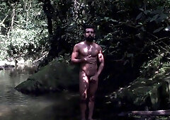 Bare Walk in The Woods