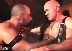 Alphamales - Hairy Hunks