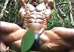 Wild Jungle
