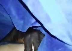 Black cock for me znd my wife