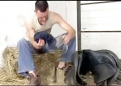 Ash-blonde, mature, history