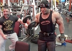 Bodybuilder, hunk, dark-hued