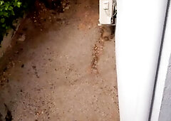 Experienced Doña Lucia teaching a (for the time being) stubborn dude