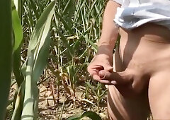 Summer, Sun, Corn & Wanking & Piss 4