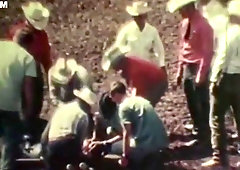 This Isn't My First Ass Rodeo - VCA