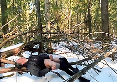 The sun on the branch)