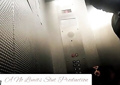 Aged big beautiful woman floozy can't expect to get to the room previous to that babe sucks and screws her youthful BBC in the elevator at Motel 