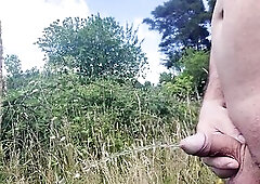 Pissing at the Lookout