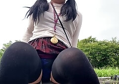 Insert, anal toy