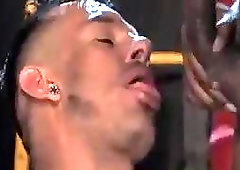 Three Studs Pounding One Gay