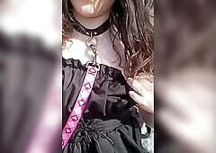 Wicked Pup Flashes Her Tit in the Park
