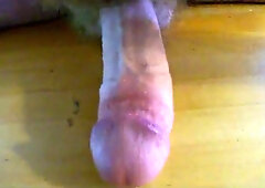 cockcentric meditation three- spurt and polish