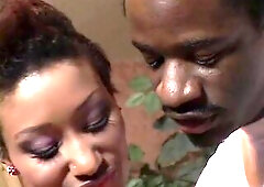 The Afro Dreamers XXX