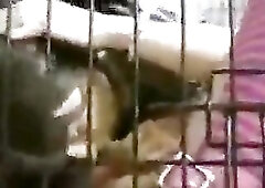 2 sissies being used by their mistresse