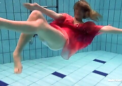 Miss's brunette porn