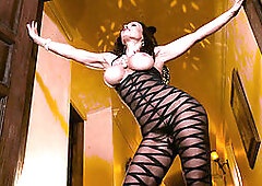 Ddf solo, lisa ann stpmum bondega, lisa ann solo anal